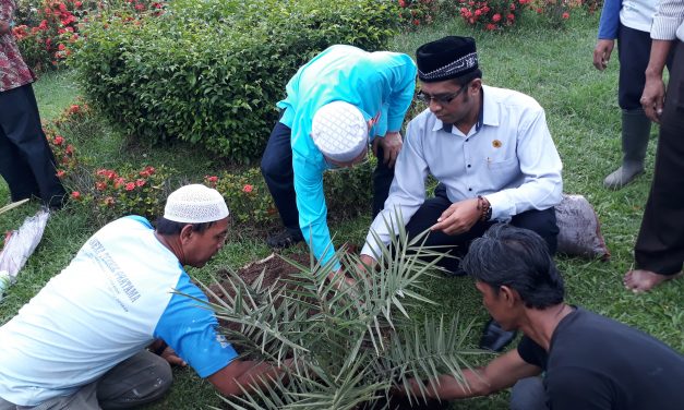 Pohon Kurma Untuk Attaqwa dari Ketua Masjid Al Barkah Bekasi