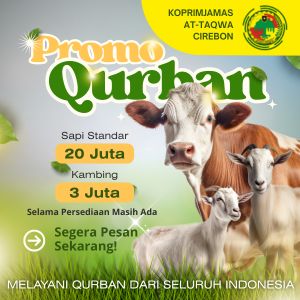 promo kurban murah 2025
